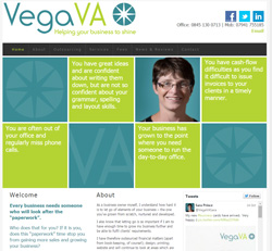 Vega VA screen shot